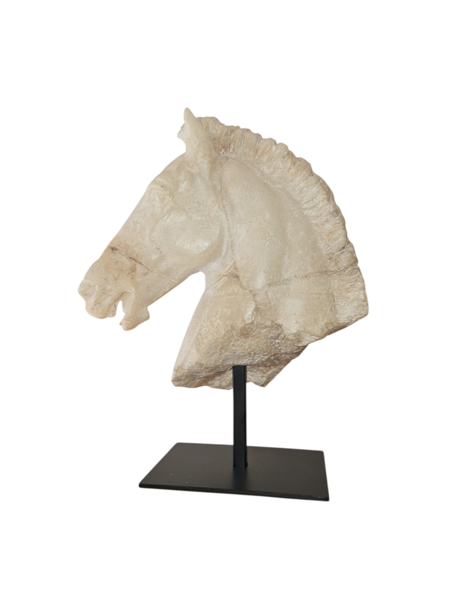 Monti's Horse Head