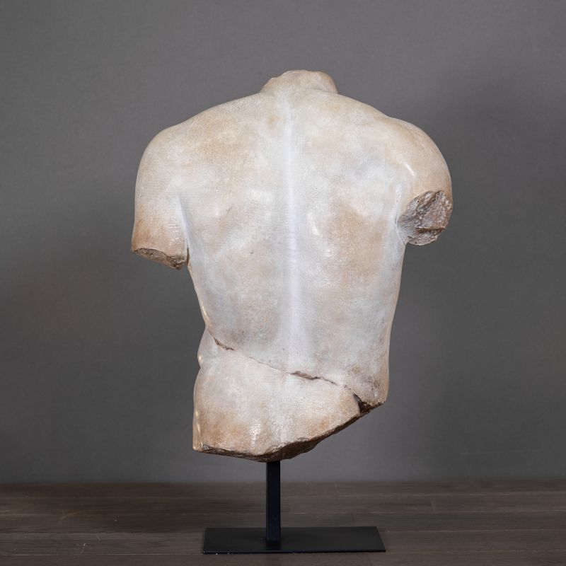 Torso Discophorus Large and Small