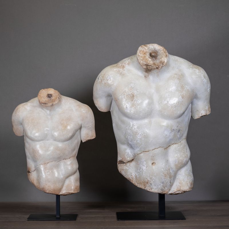 Torso Discophorus Large and Small