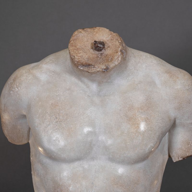 Torso Discophorus Large and Small