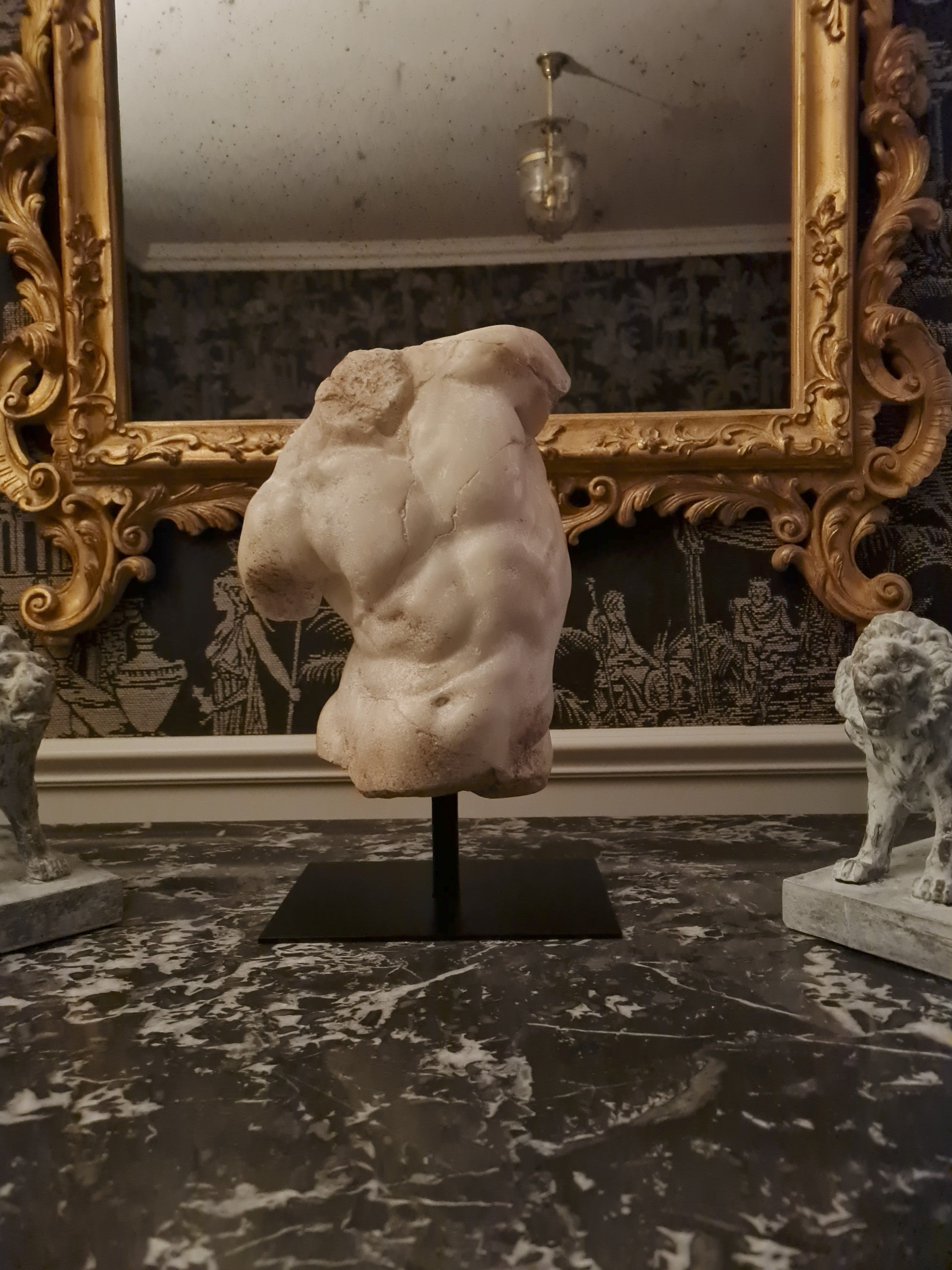 Apollo Torso