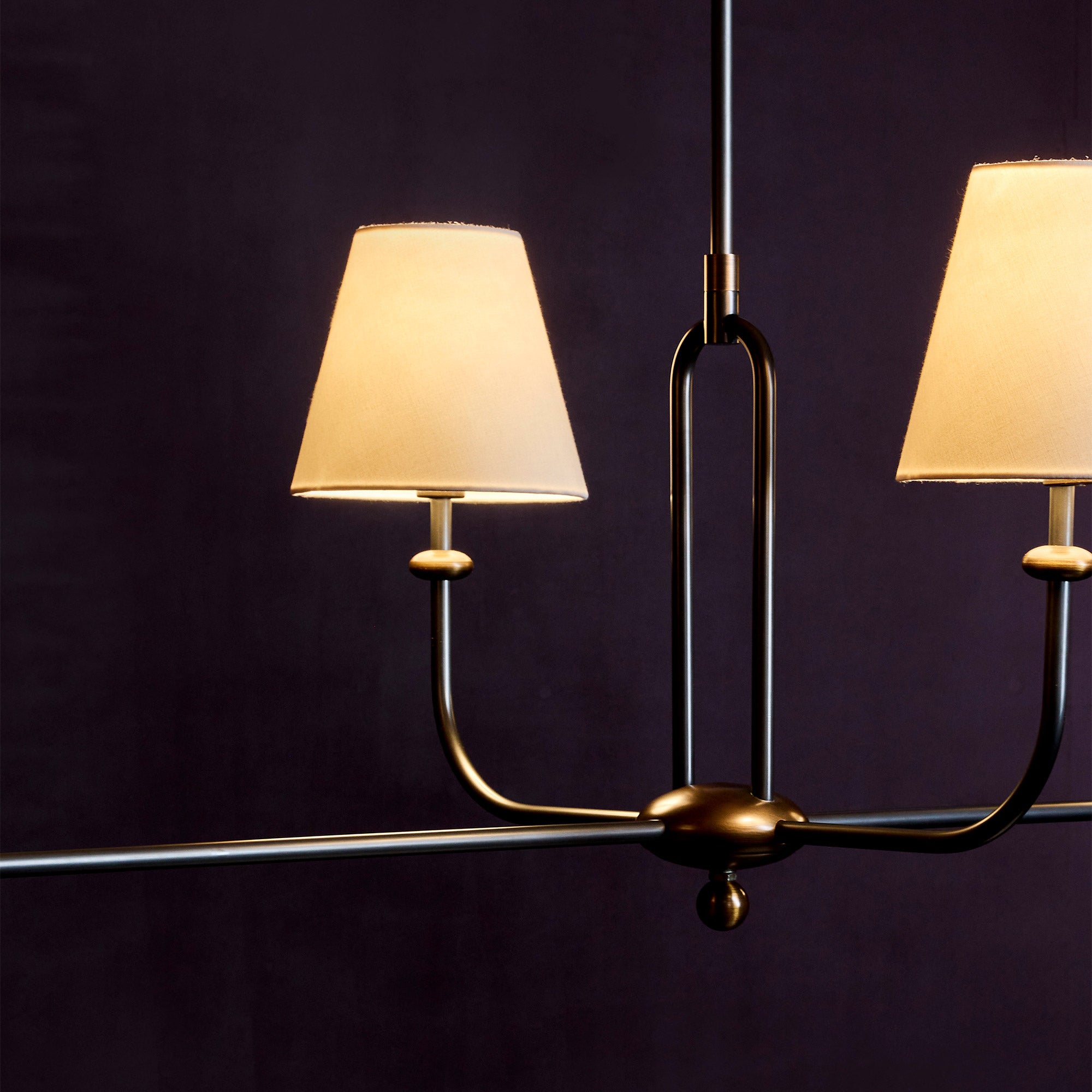 Lumiere Linear Pendant by Terri Shannon