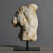 Apollo Torso sculpture – a symbol of strength and beauty in ancient Greek art.