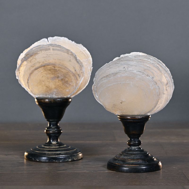 Set of 2 Pearl Fans – elegant mother-of-pearl pieces with iridescent brilliance, historically treasured by Egyptian pharaohs, European nobility, and Asian cultures.